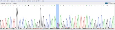 突变位点验证（sanger）：一代测序图片及序列解读结果.jpg