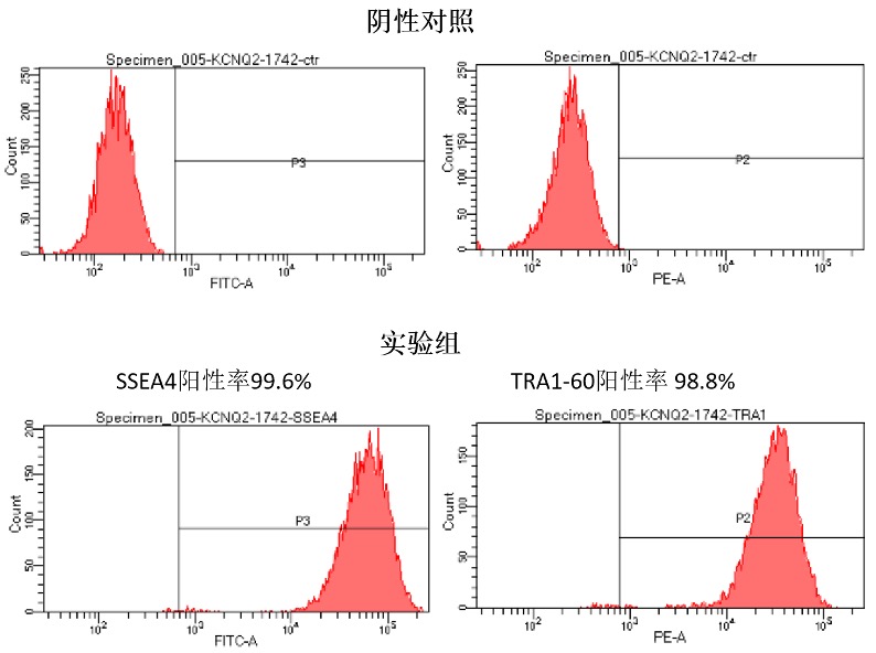 流式鉴定iPSC细胞特异性标志物比例.jpg